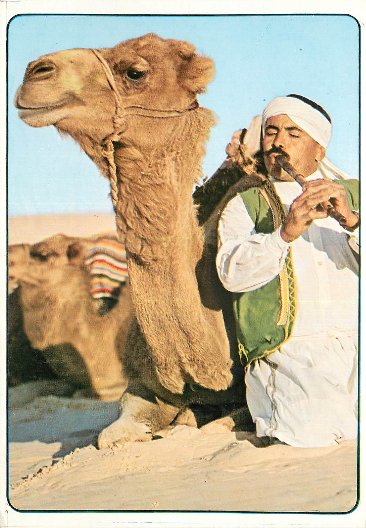 CPM Tunisie Melocamel