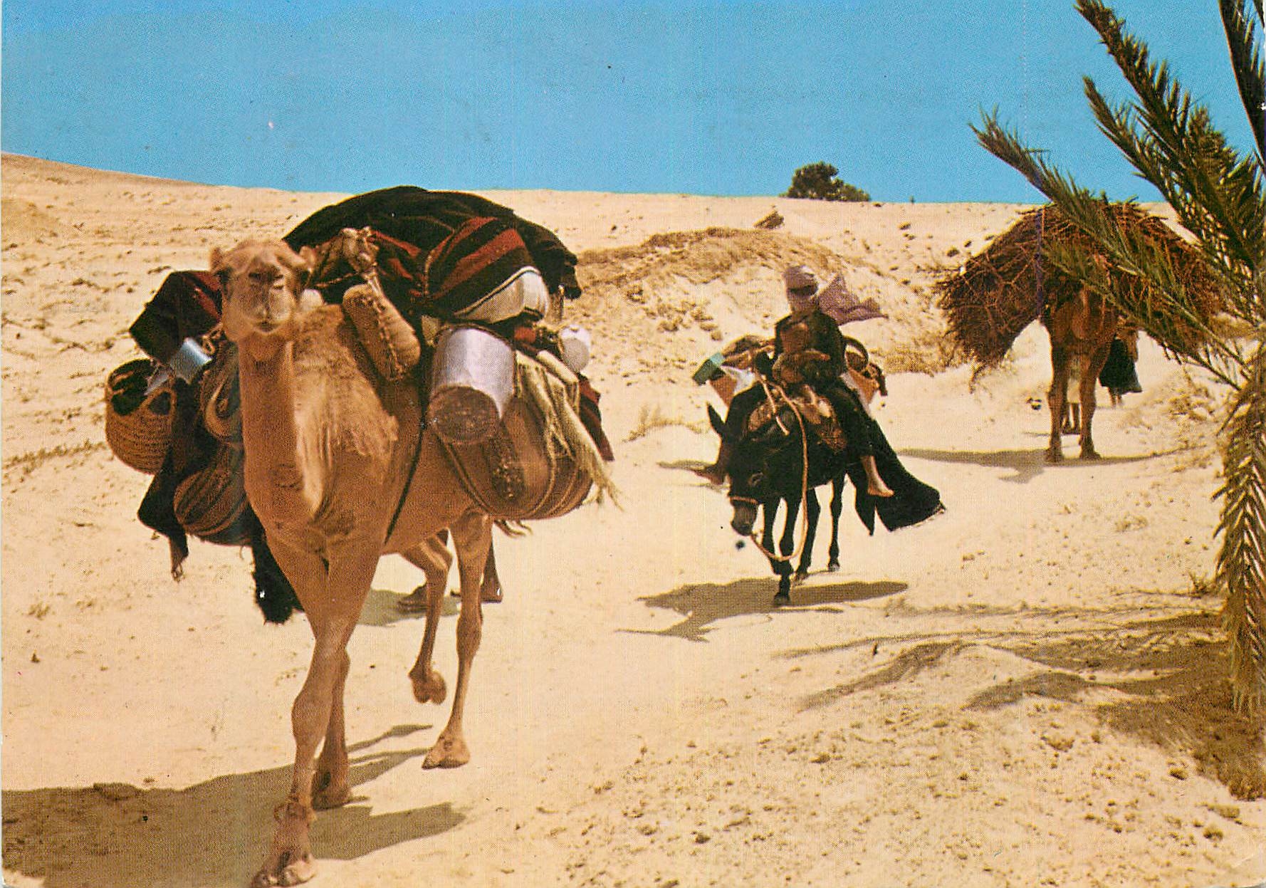 CPM Sud Tunisien Nomades
