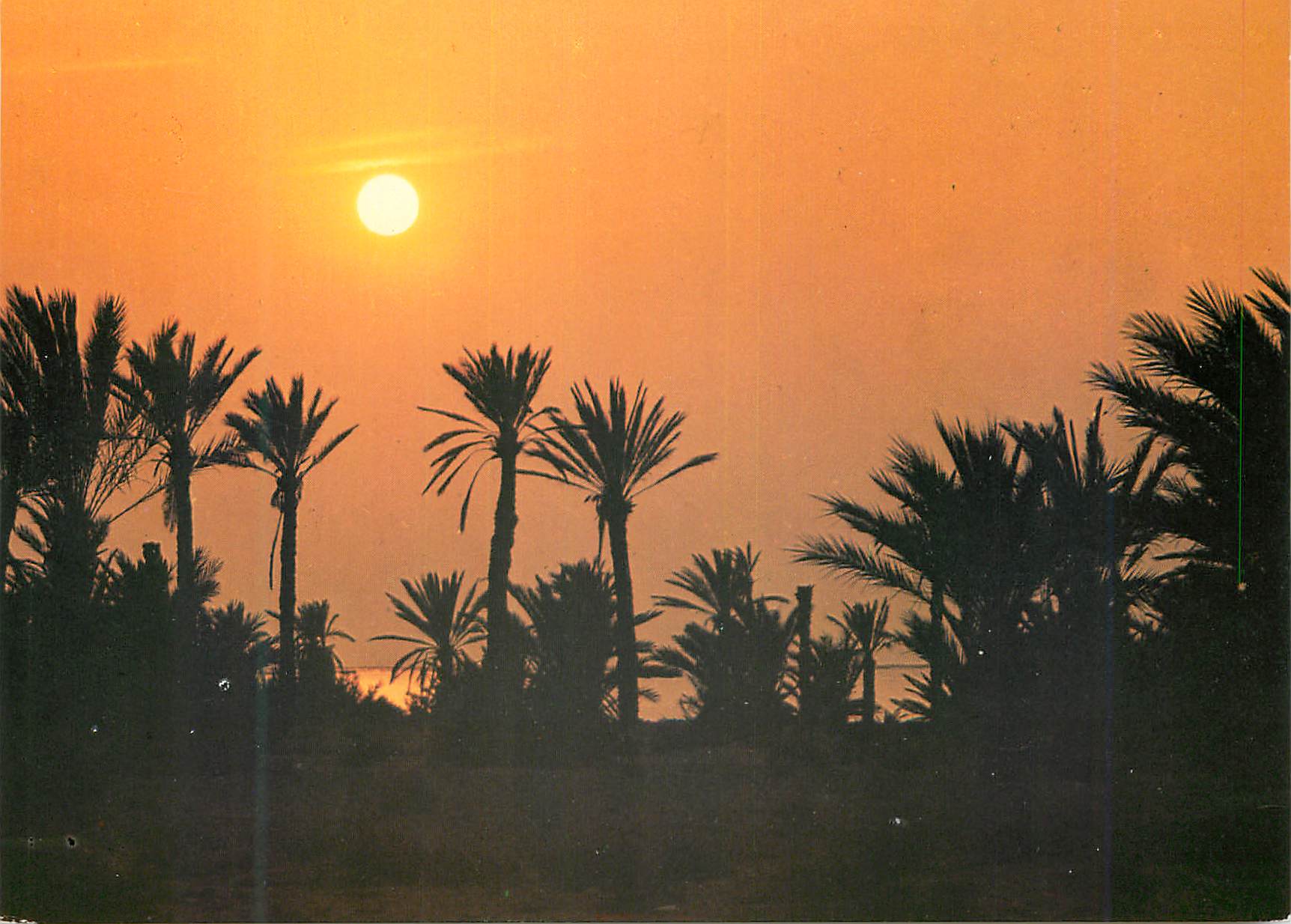 CPM IIeS Kerkennah Tunisie Coucher de Soleilil