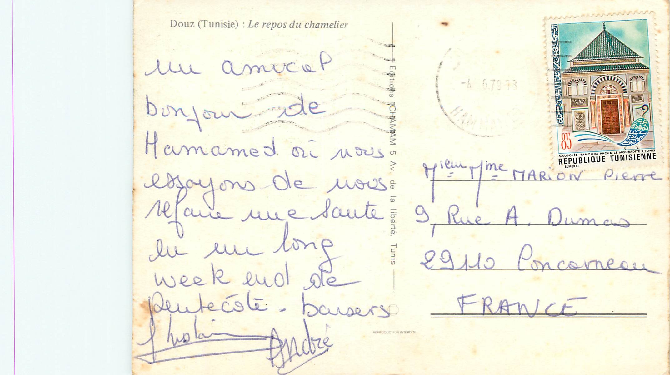 CPM Douz (Tunisie) Le Repos du Chamelier — Back