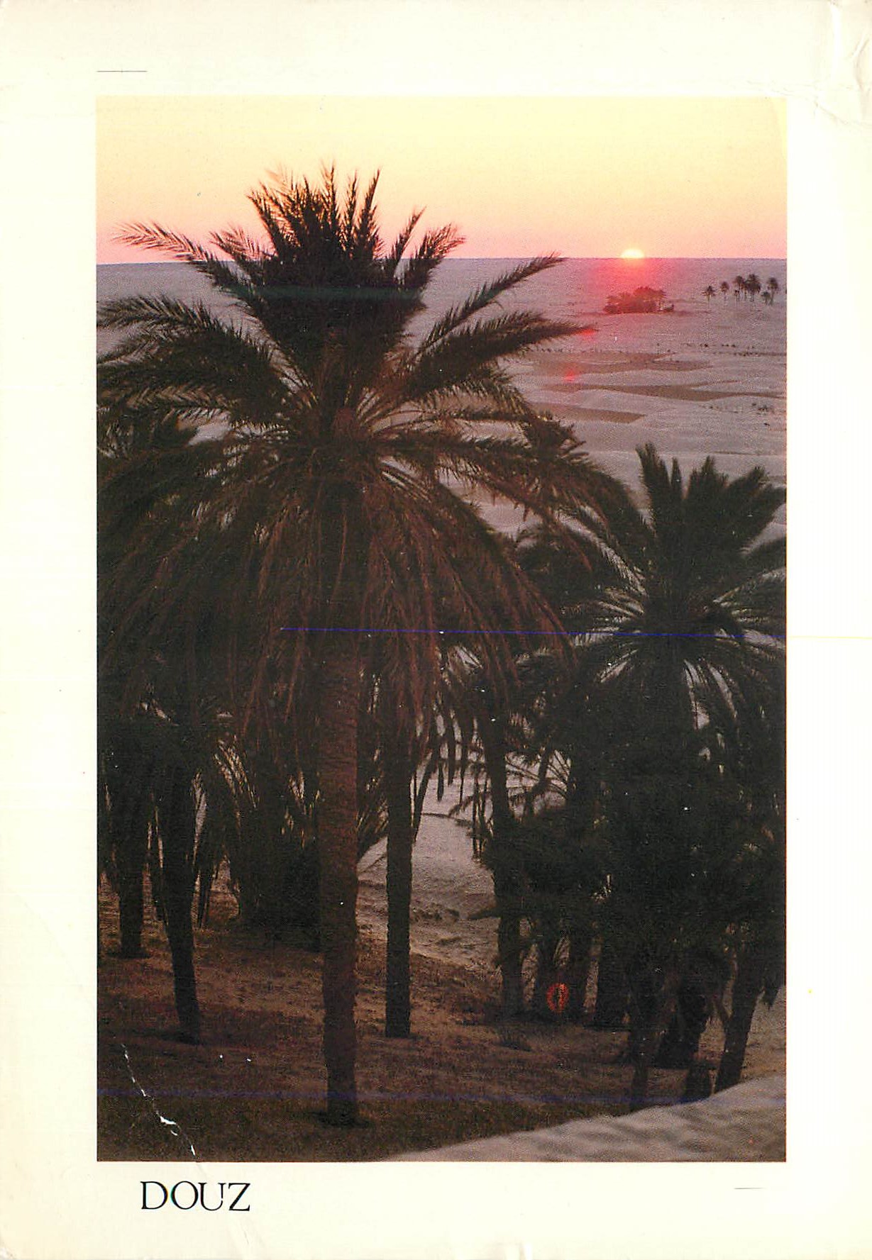 CPM Charmes et Douceur de Tunisie Soleil levant sur douz