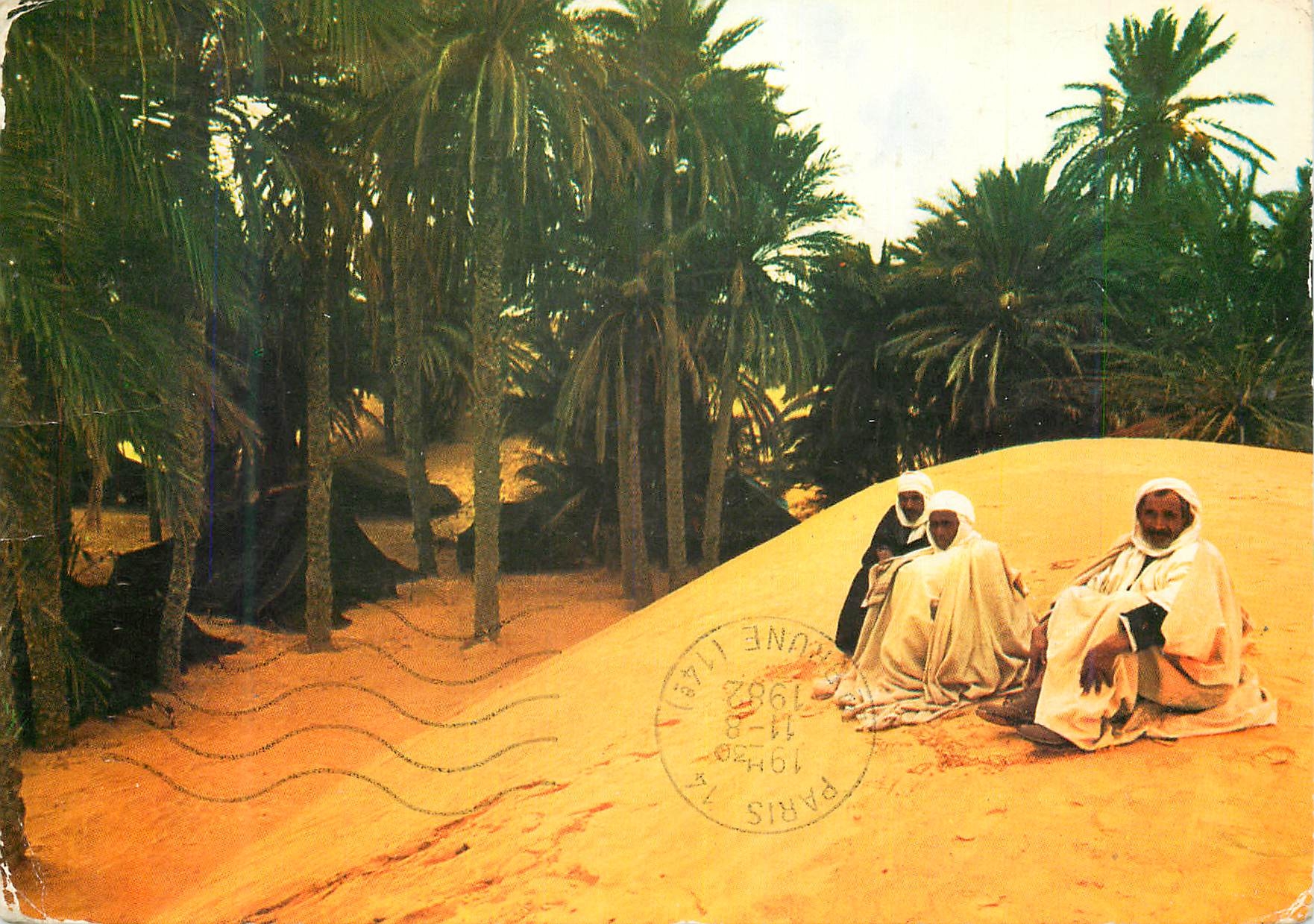 CPM Douz Tunisie Une Oasis du Desert 
