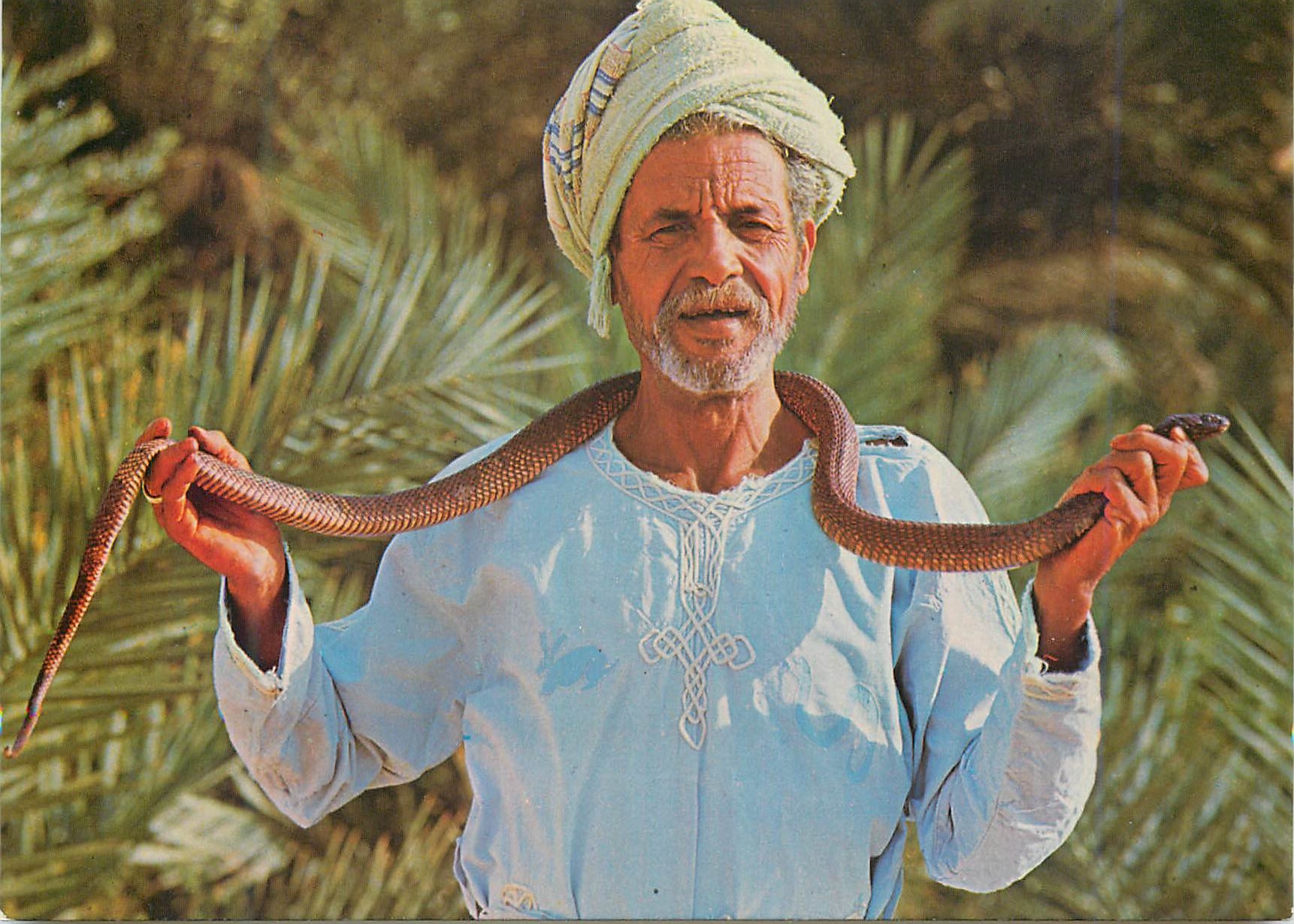CPM Sud tunisien Charmeur de Serpents