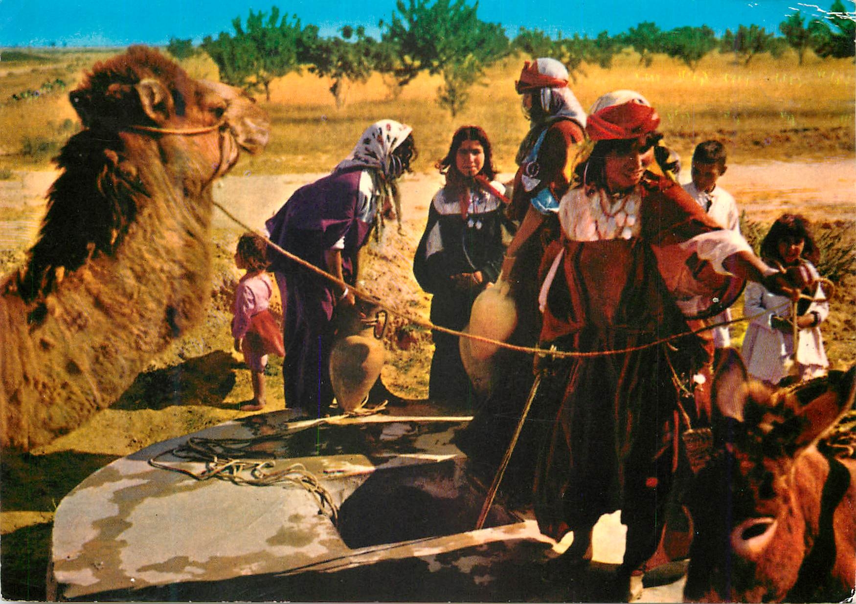 CPM Tunisie Scenes et Types Autour du Puits