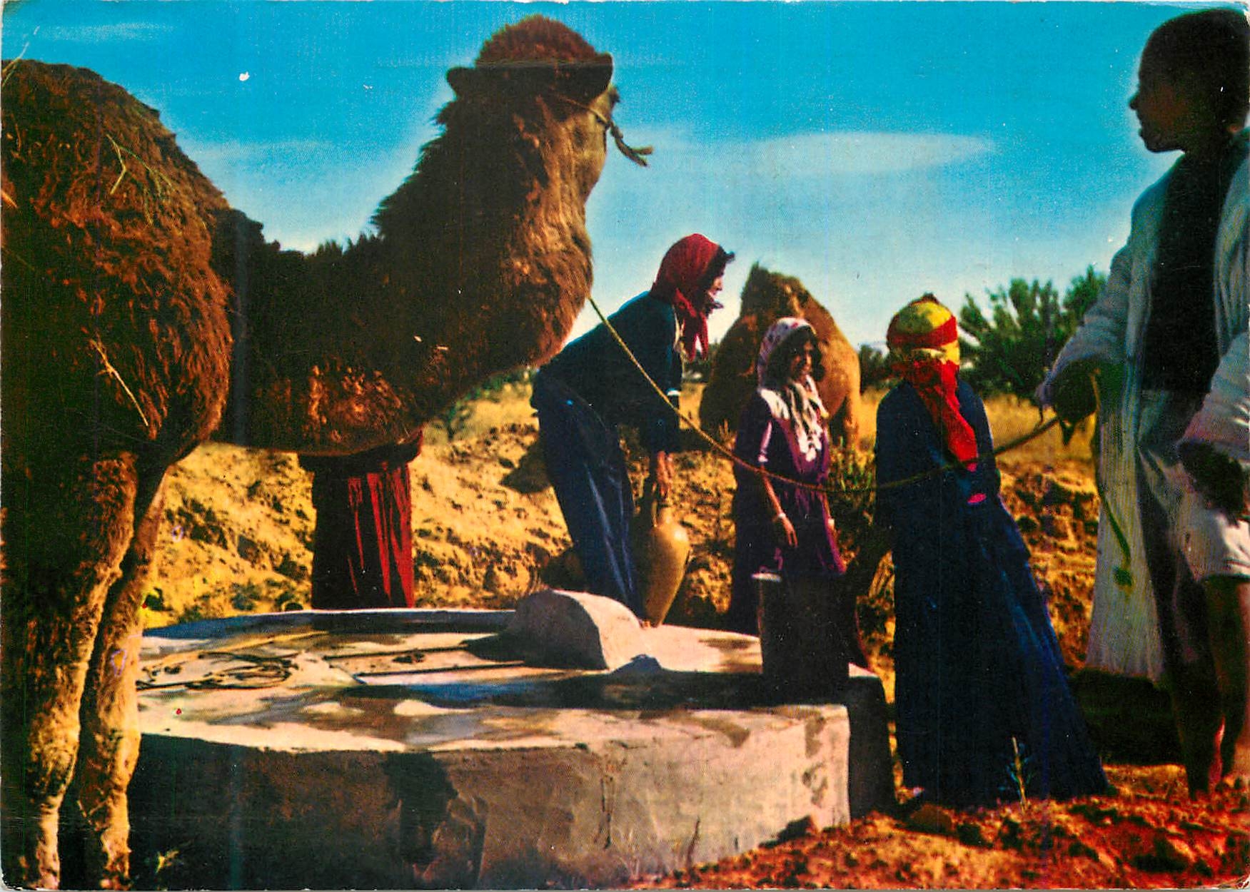 CPM Tunisie Costumes Bedouins