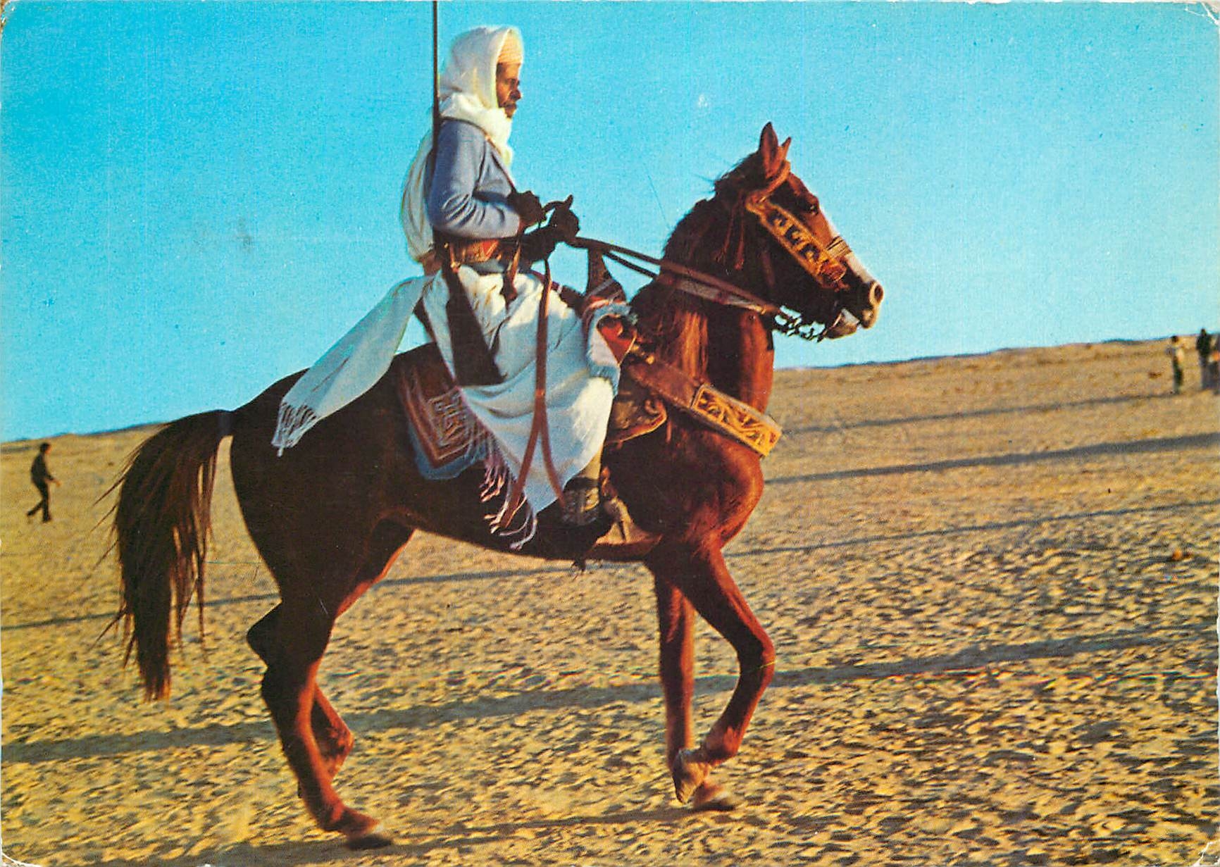 CPM Sud Tunisien Cavalier Harnache