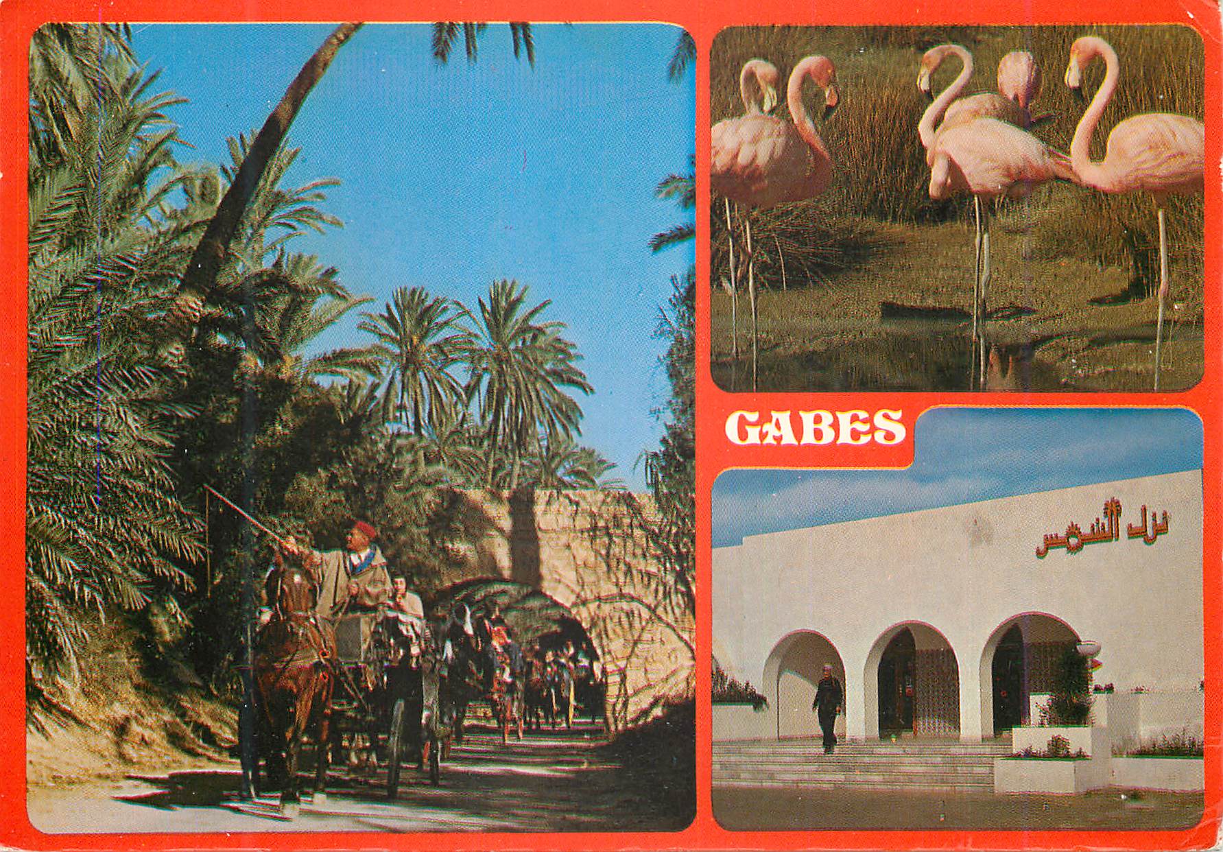 CPM Gabes et l'Hotel Chems