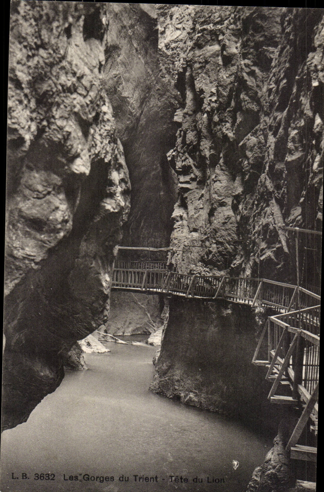 Italie - Italy - trento - trient - Les Gorges du Trient - Tete du Lion - pont en bois - CPA 