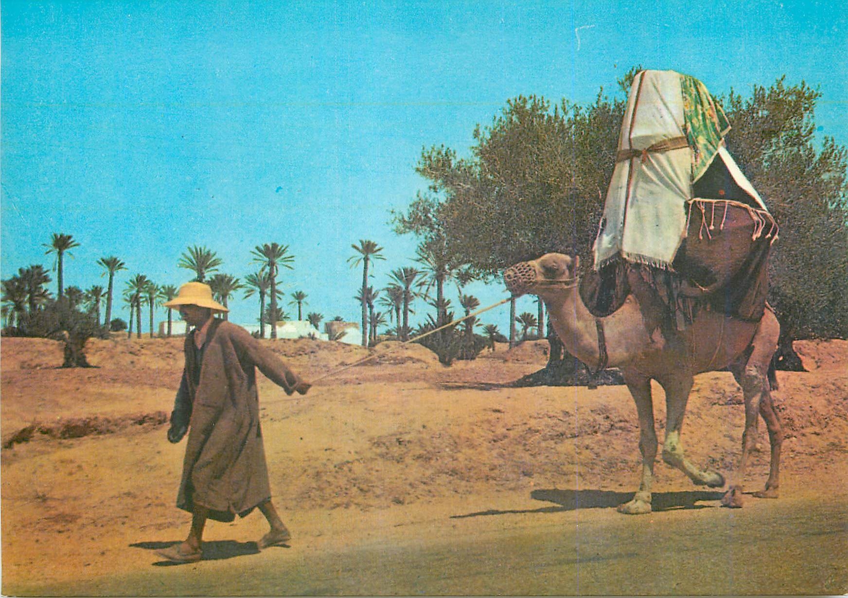 CPM Ile de Djerba La Johfa Chameau