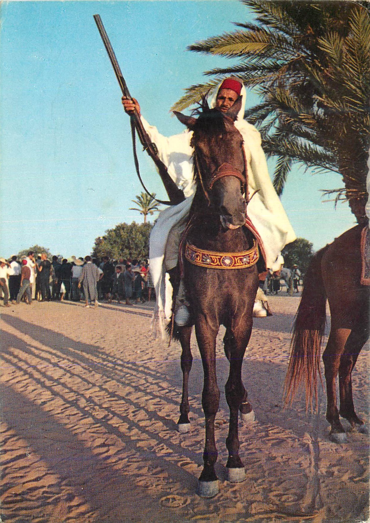 CPM Djerba Cavalier Tunisie Cheval
