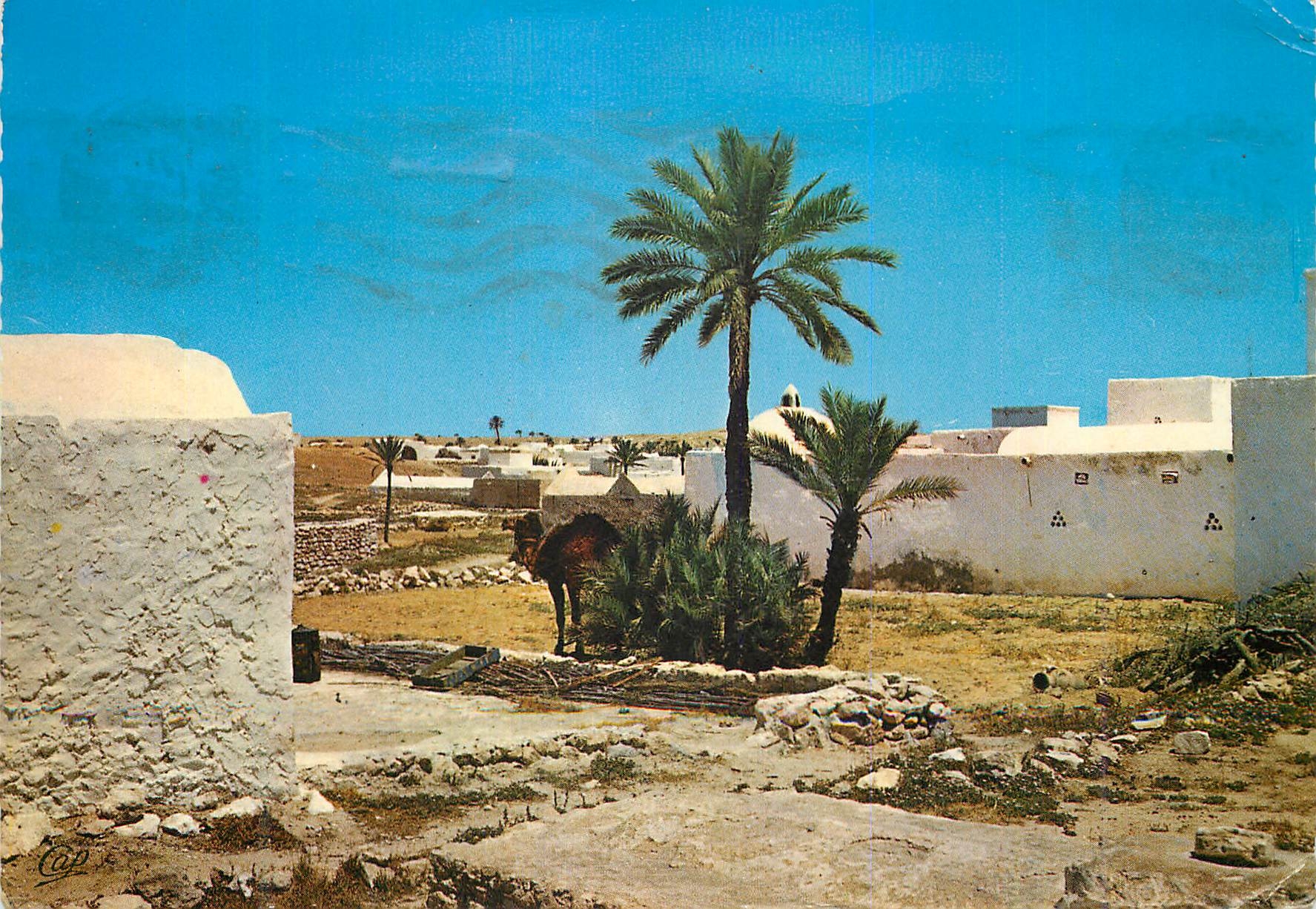 CPM Ile de Djerba Tunisie Paysage Djerbien 