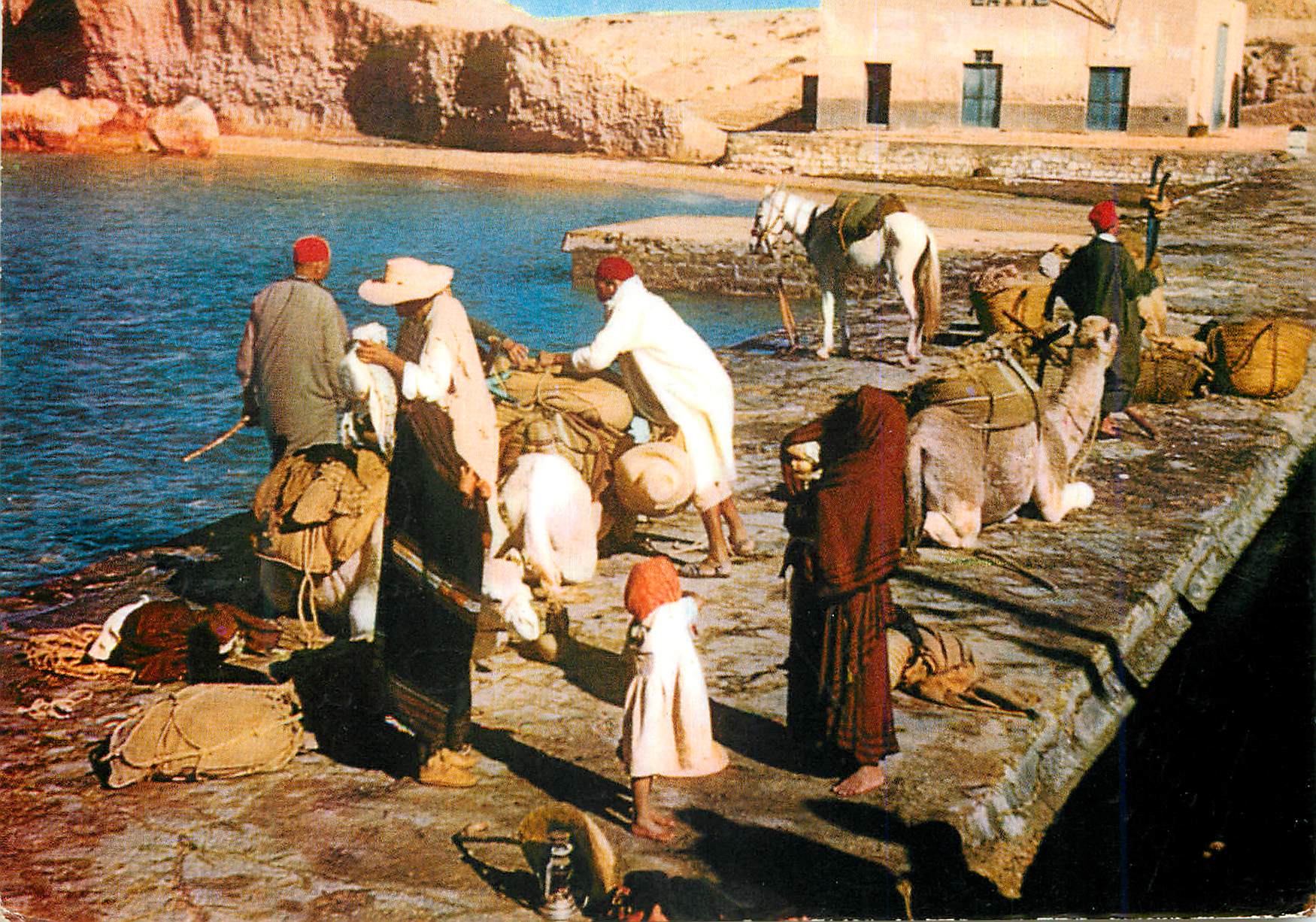 CPM Ile de Djerba En attendant le passeur Chameau