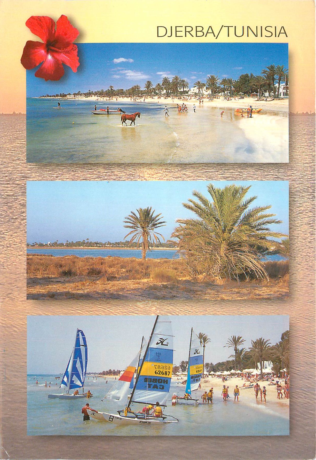 CPM Djerba Tunisia Catamarn