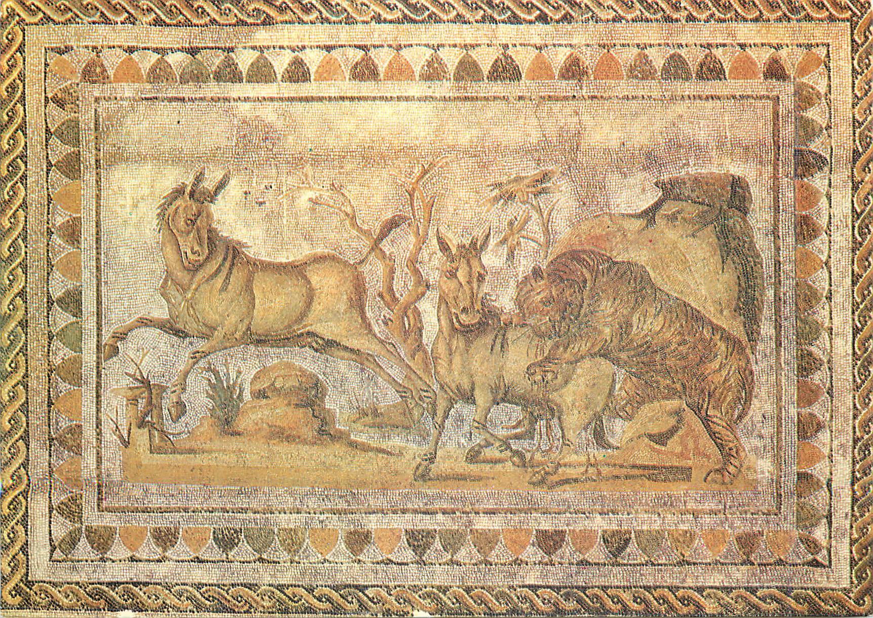 CPM Exposition de Carthage a Kairouan Tigre