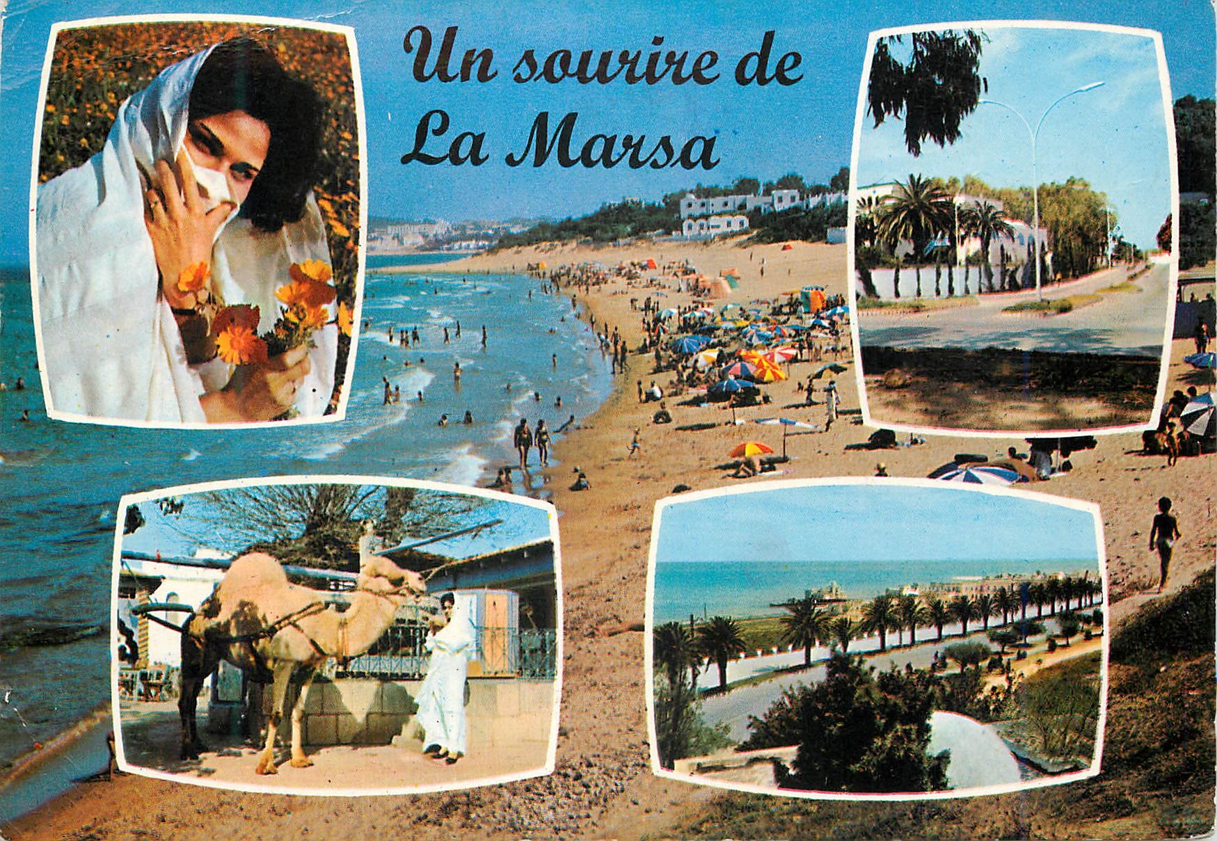 CPM Un sourire de La Marsa Chameau