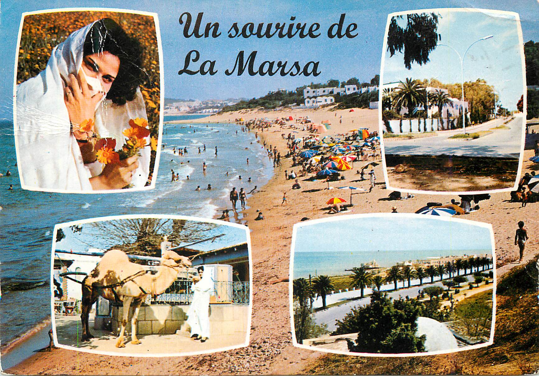 CPM Un sourire de La Marsa Chameau
