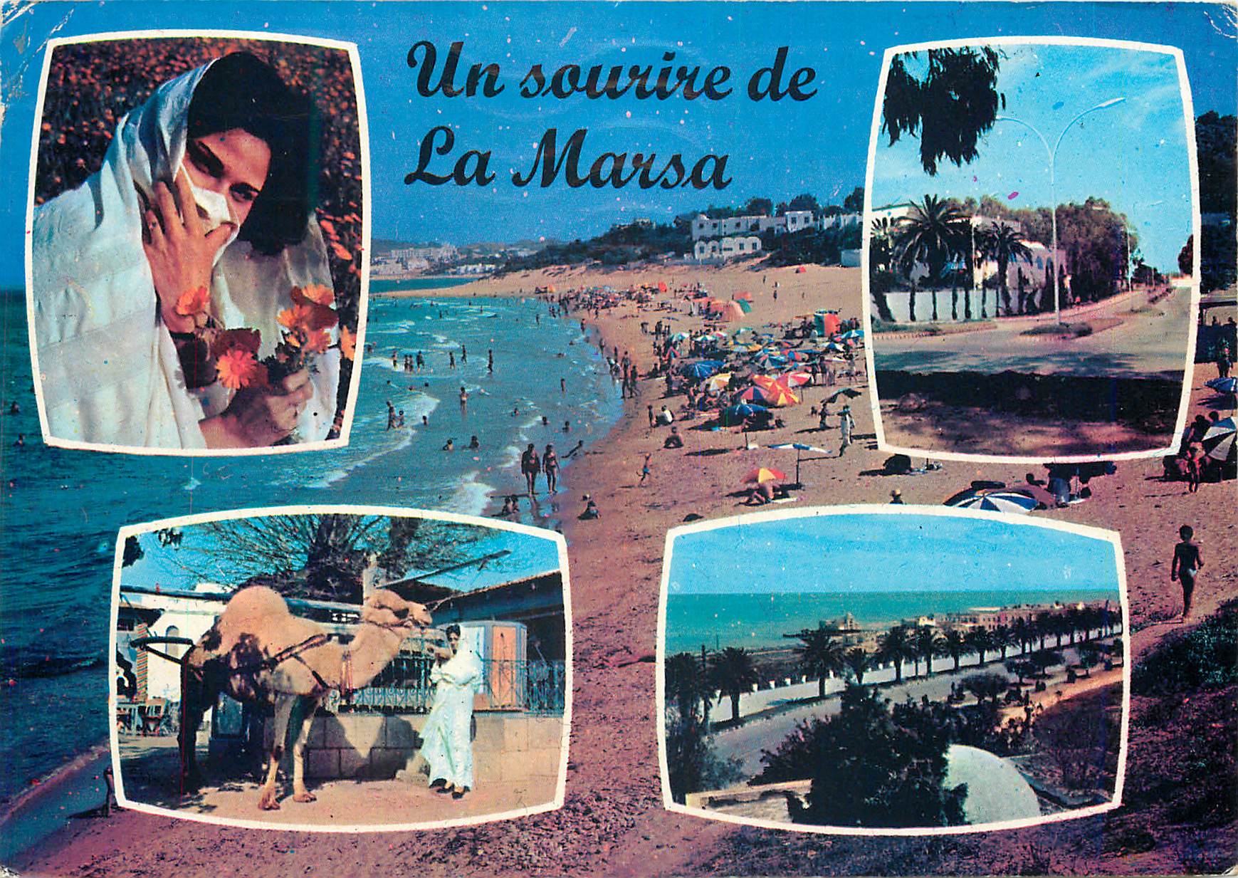 CPM Un sourire de La Marsa Chameau