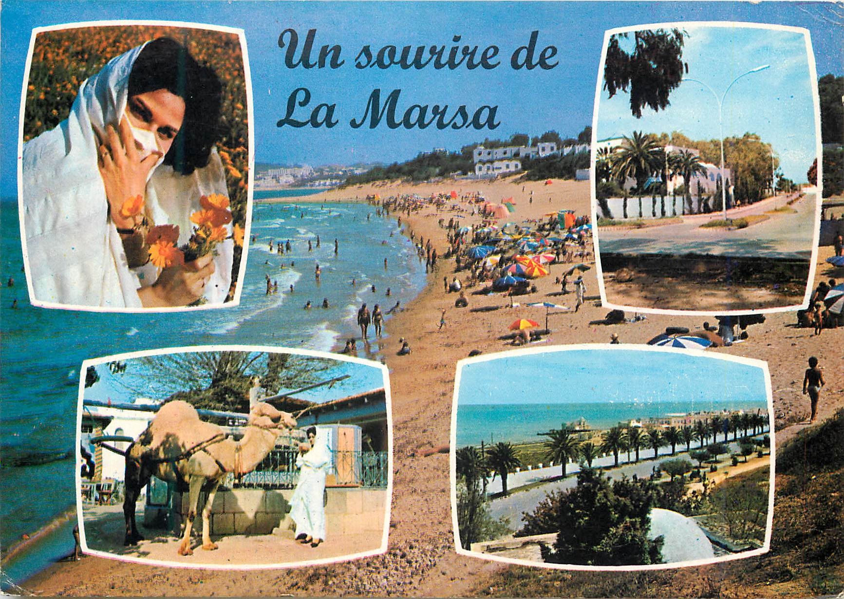 CPM Un sourire de La Marsa Chameau