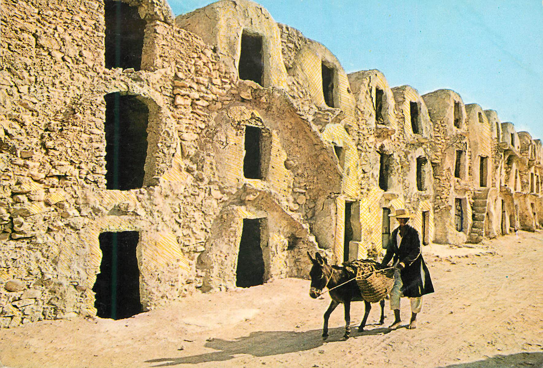 CPM Tunisie Medenine les Ghorfas Ane Donkey
