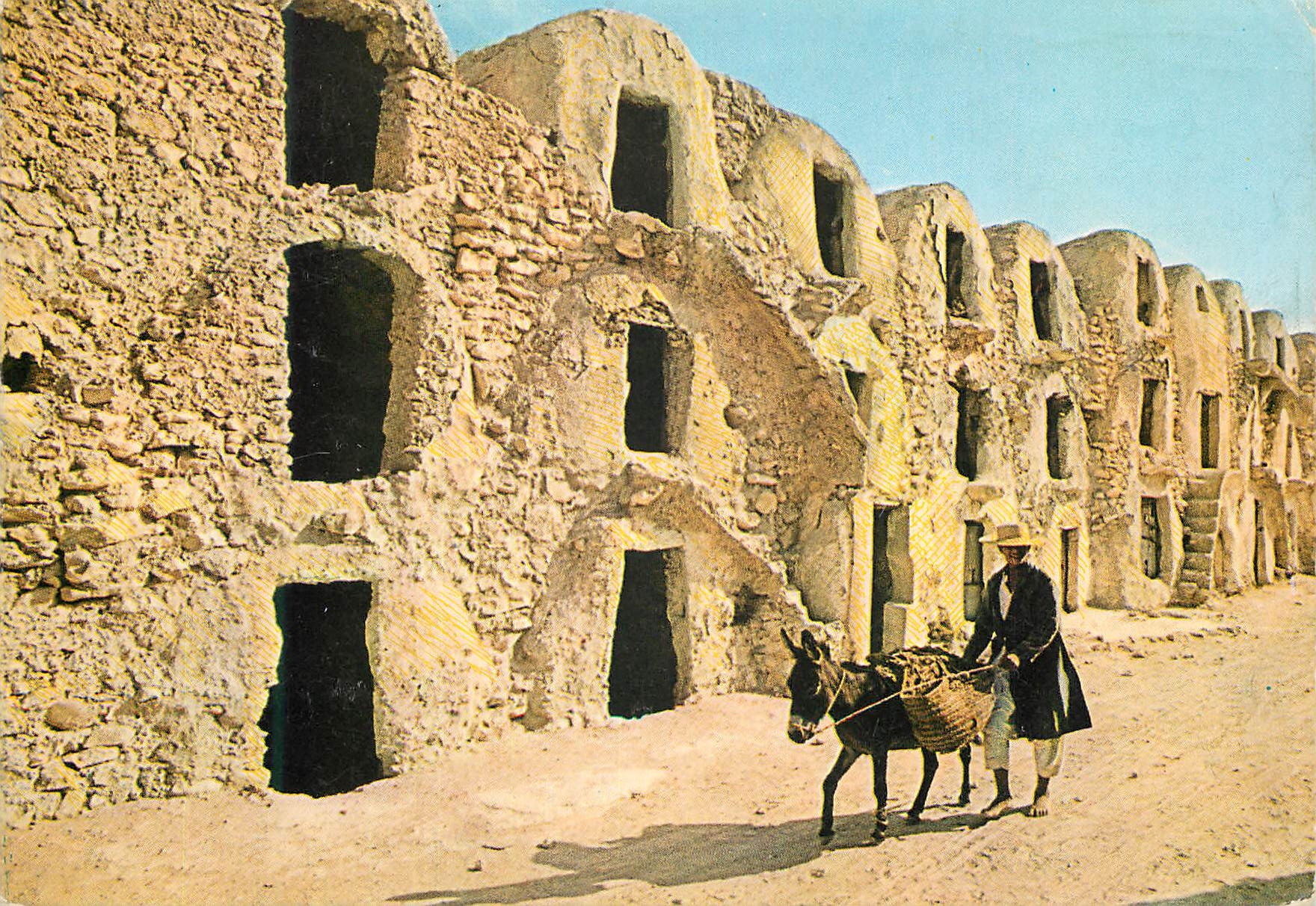 CPM Tunisie Medenine les Ghorfas Ane Donkey