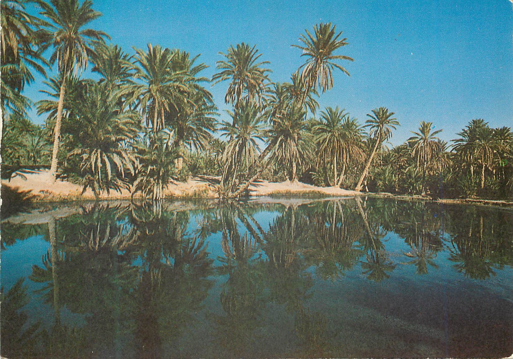 CPM Sud Tunisien Region Kebili Douz 