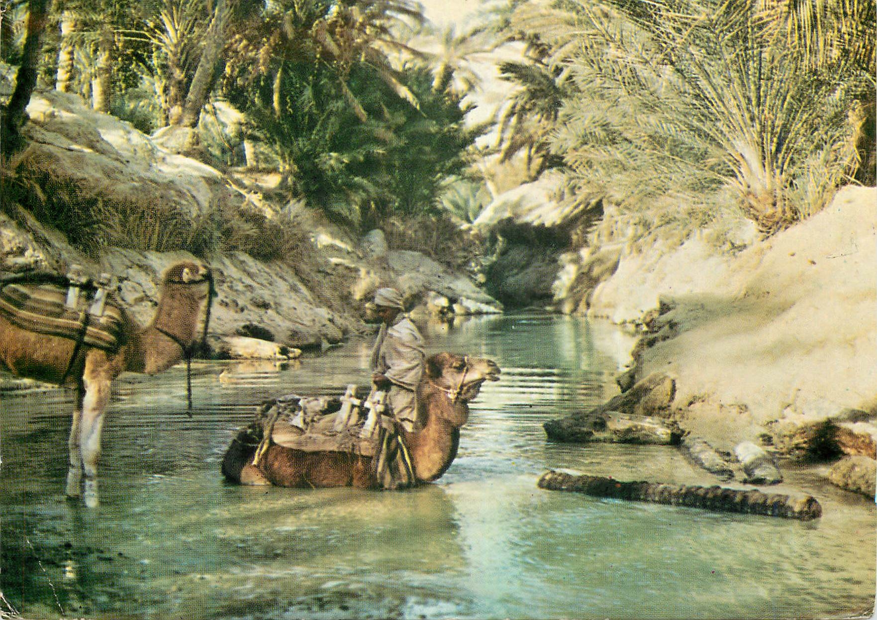 CPM Tunisie Nefta L'Oasis 