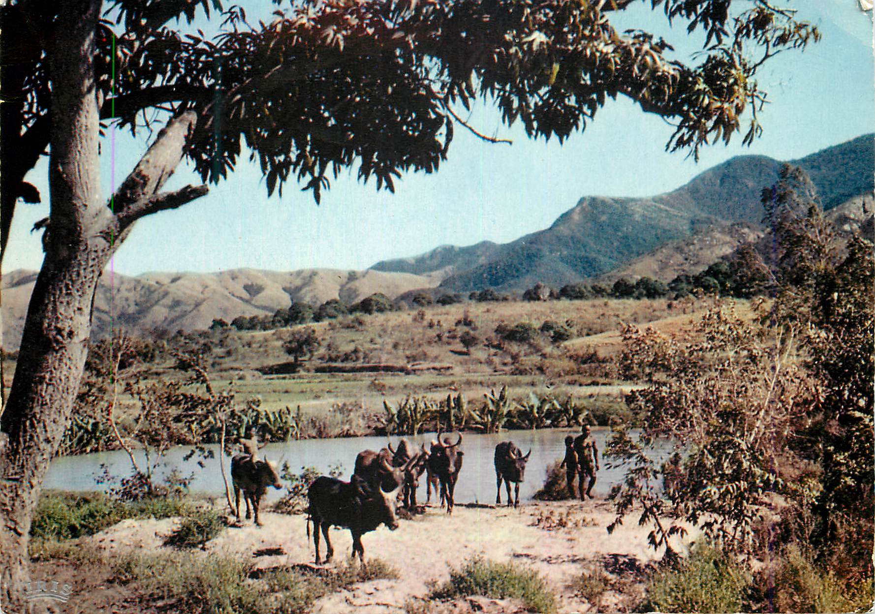 CPM Madagascar Region des hauts plateaux 