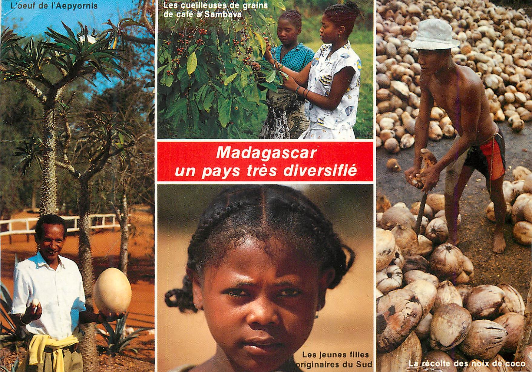 CPM Madagascar un pays tres diversifie 