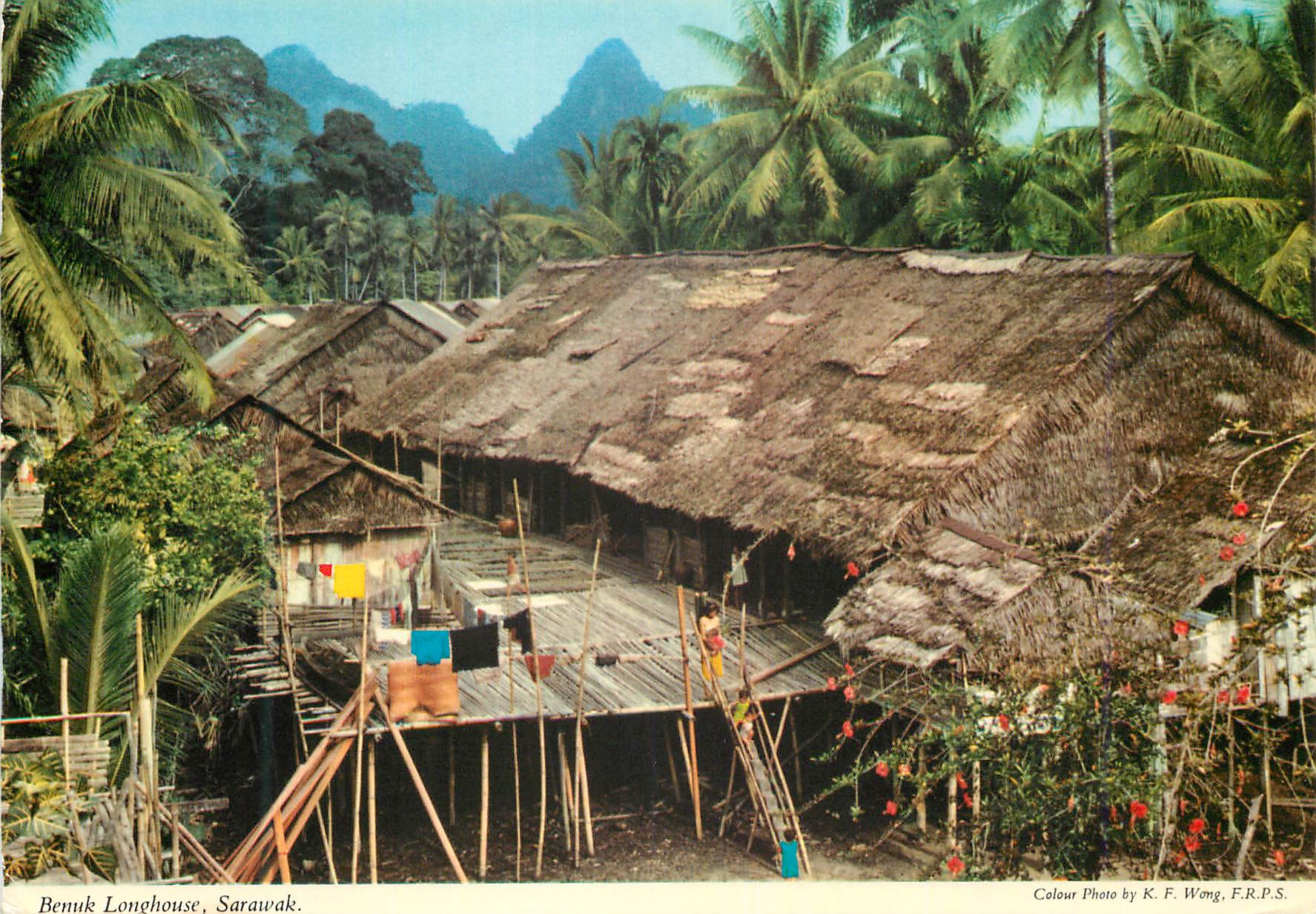 CPM Benuk Longhouse A Longhouse at Benuk 