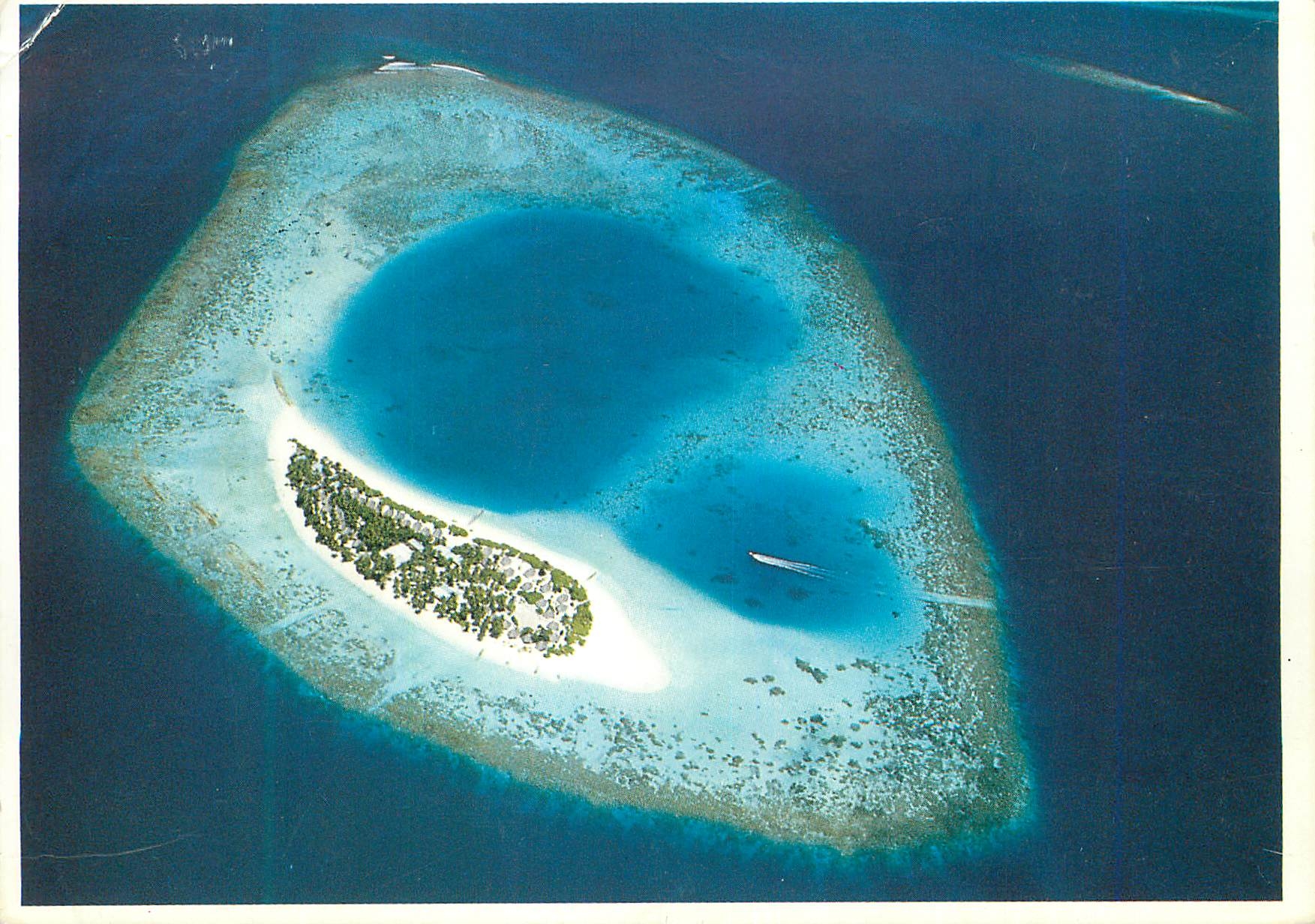 CPM Maldives Nacatcha 
