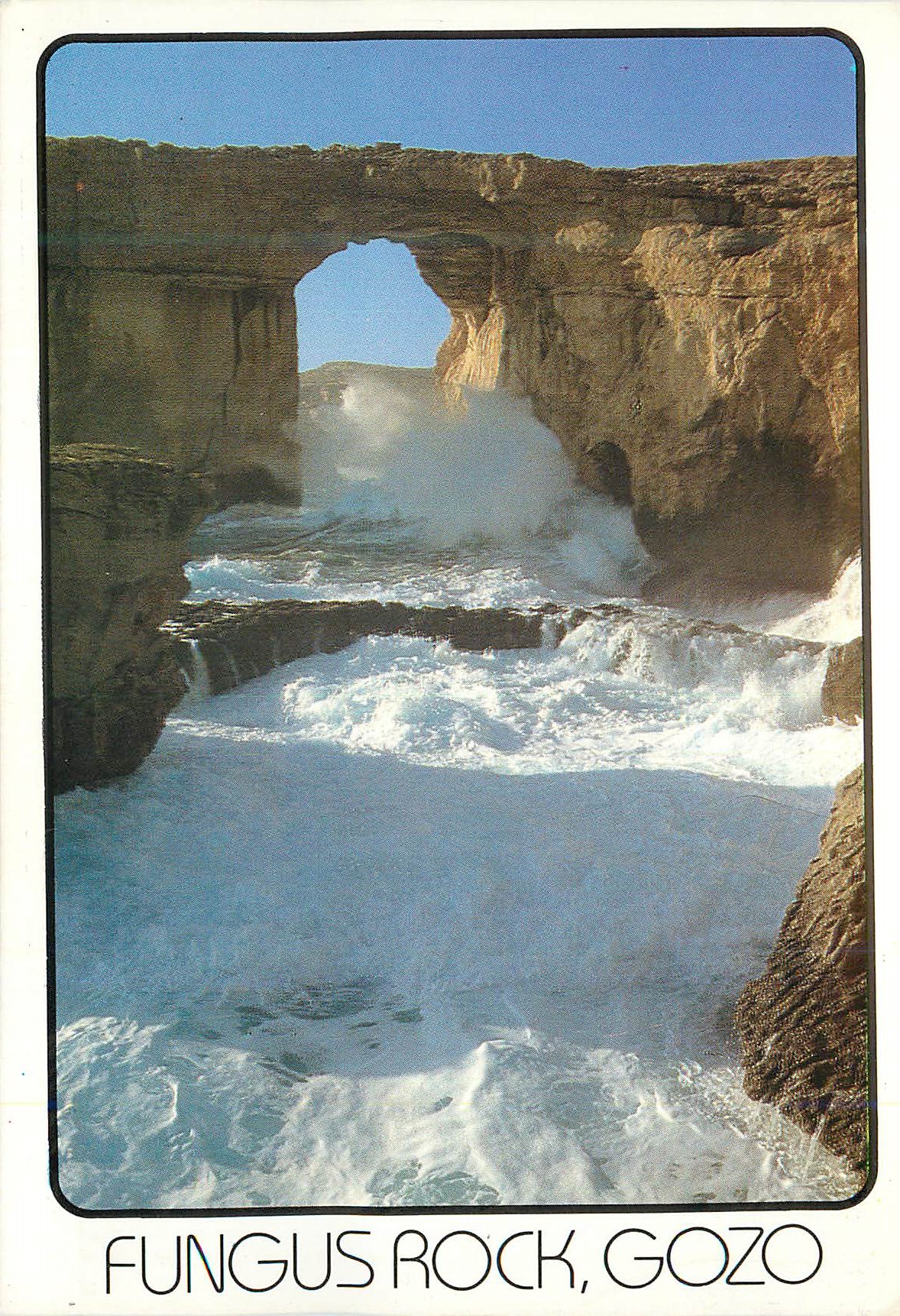 CPM Fungus Rock in Gozo 