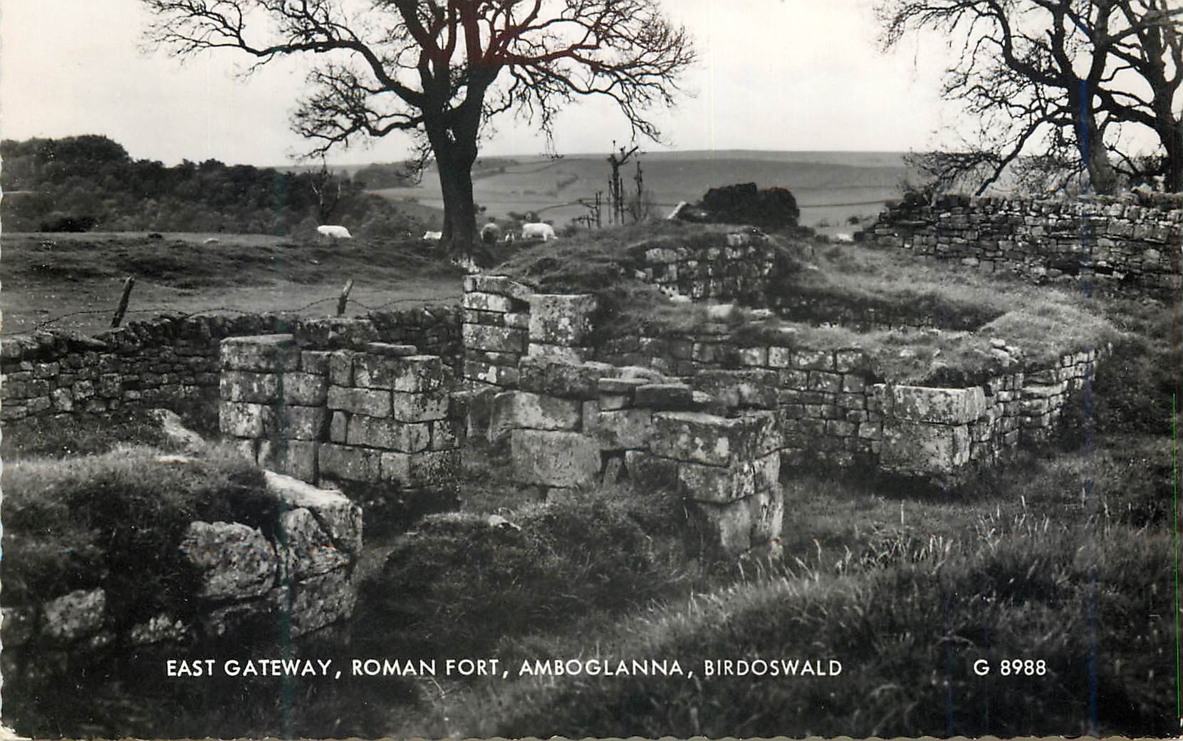 CPM East Gateway Roman Fort Amboglanna Birdoswald 