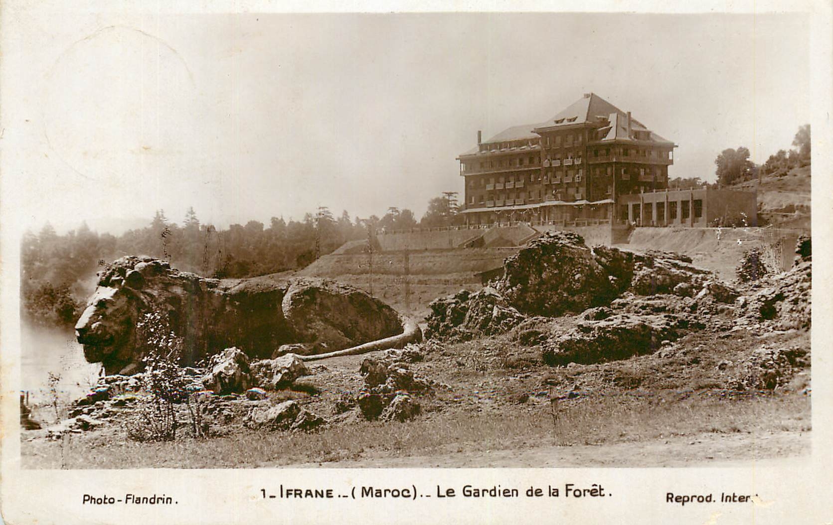 CPA Ifrane Maroc Le Gardien de la Foret 