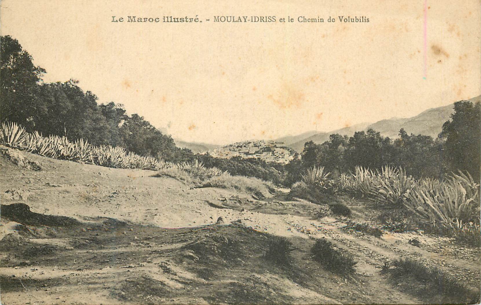 CPA Le Maroc Illustre Moulay Idriss et le Chemin de Volubilis 