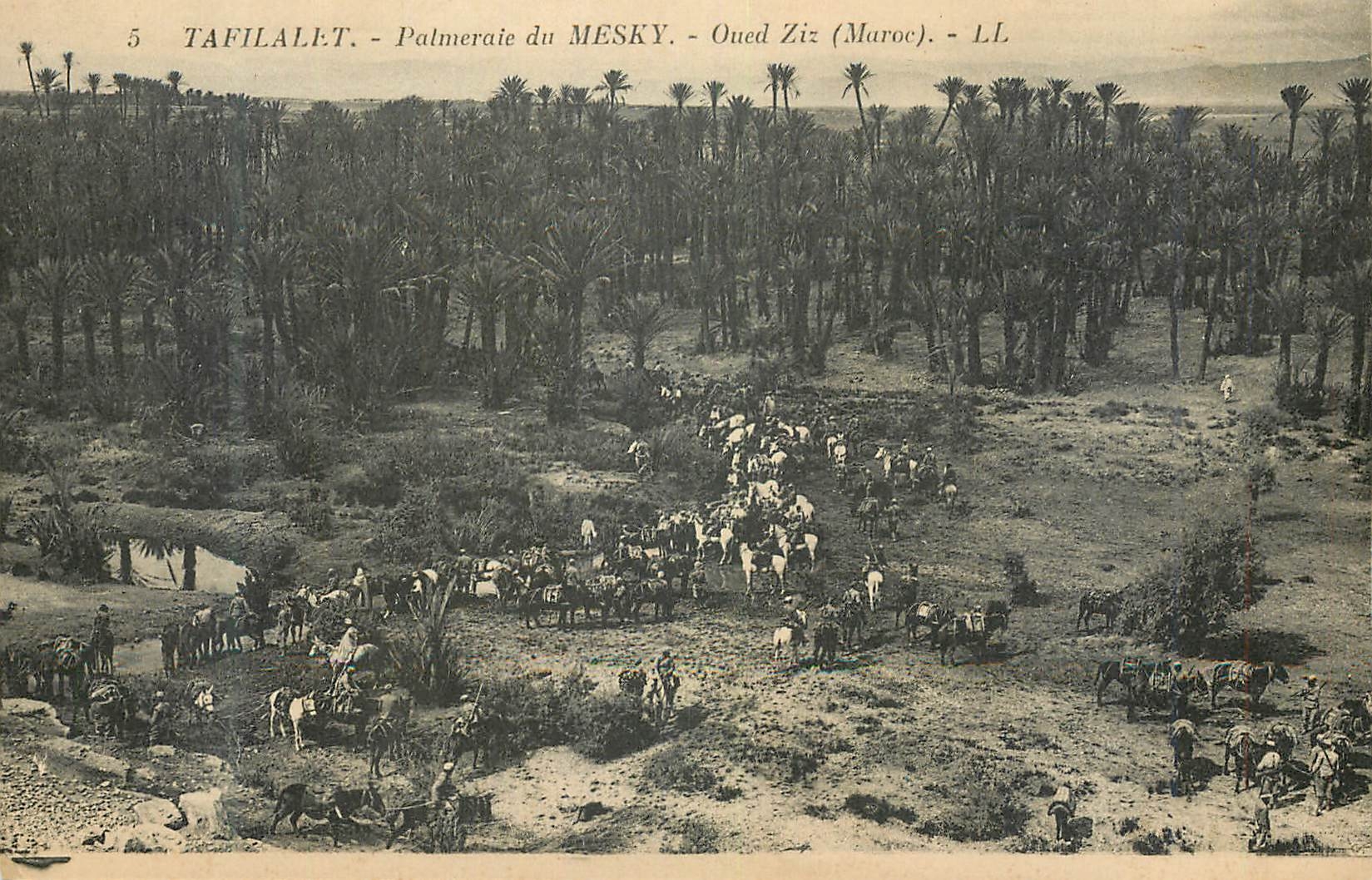 Palmeraie du Mesky - Oued Ziz (Marokko) — LL