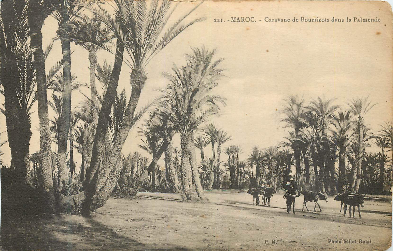 CPA Maroc Caravane de Bourrrcote dans la Palmeraie 