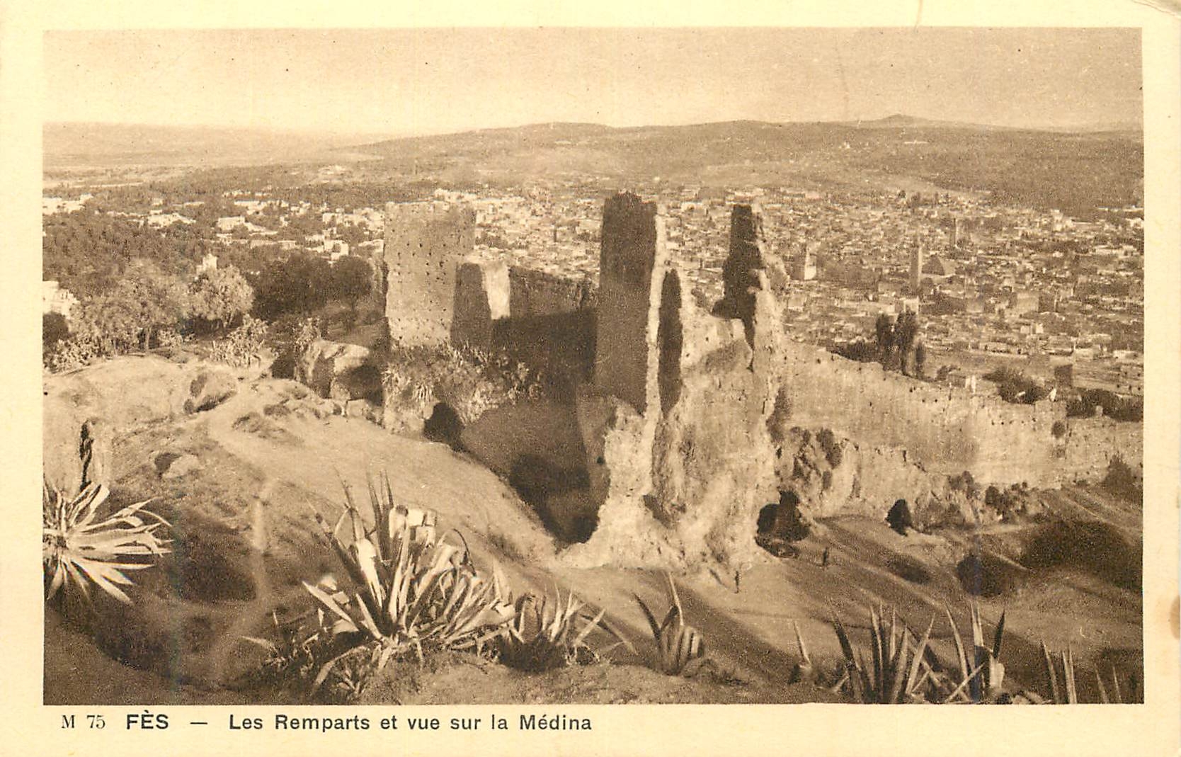 CPA Fes Les Remparts et vue sur la Medina 