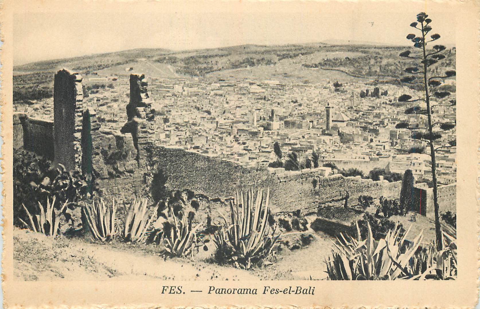 CPA Fes Panorama Fes et Bali 