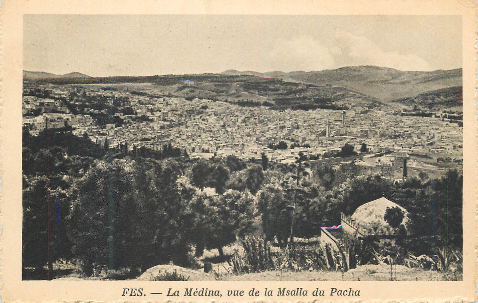 CPA Fes La Medina vue de la Msalla du Pacha 