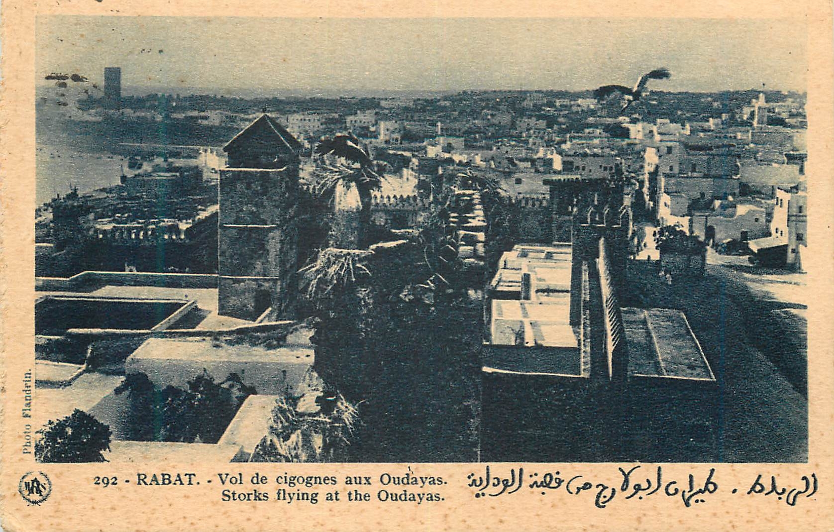 CPA Rabat Vol de cigognes aux Oudayas 