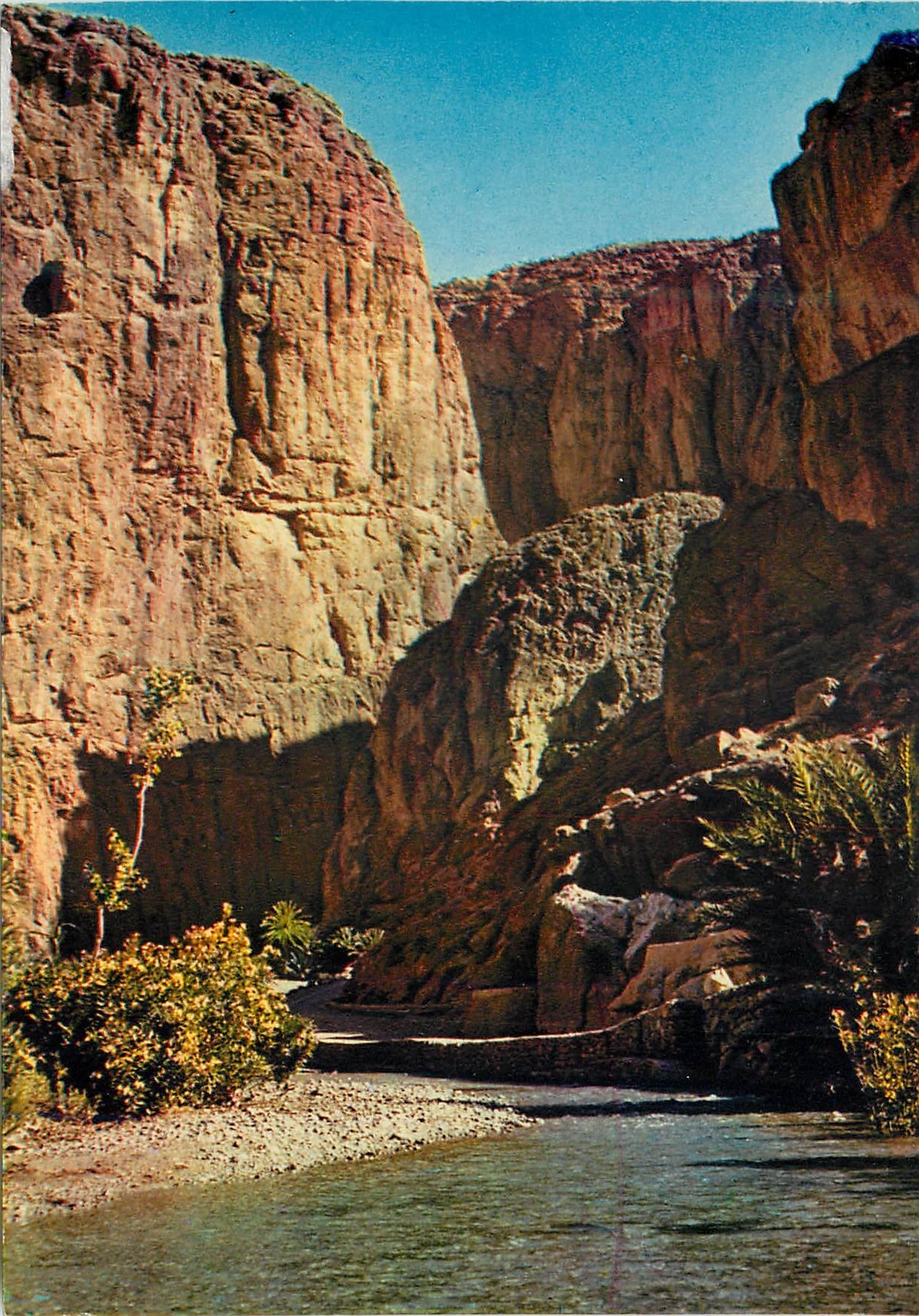 CPM Scenes et types du Maroc Gorges du Todra a Tinerhir 