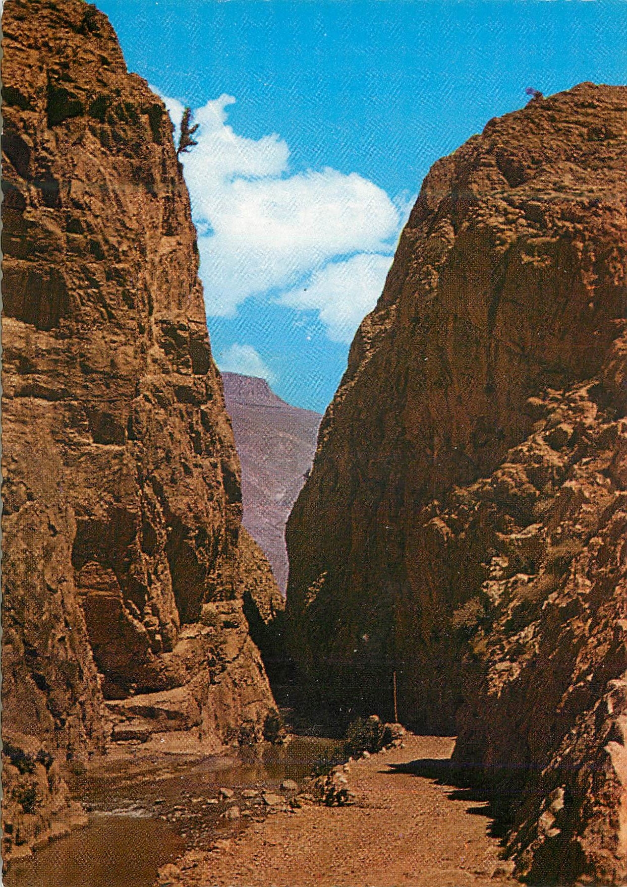 CPM Le Maroc Pittoresque Les gorges du Dades 