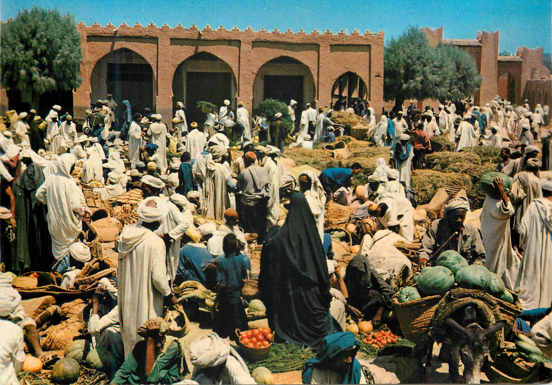 CPM Rissani Sud Marocain Jour du Souk Ane Donkey