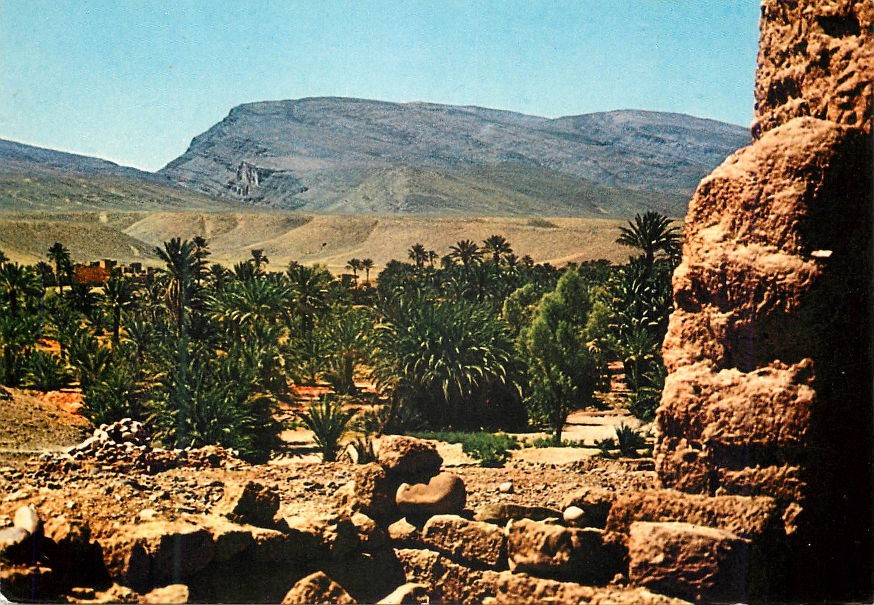 CPM Maroc Typique Vallee du Todrha 