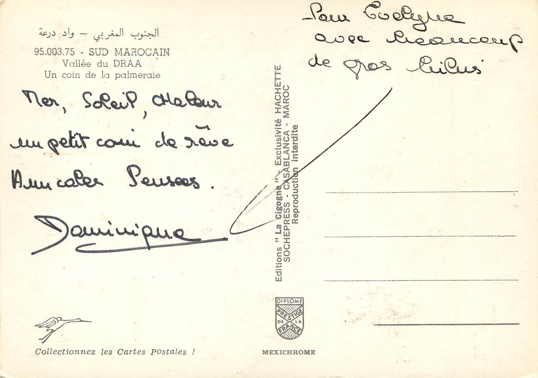 CPM Sud Marocain Vallee du Draa Un coin de la palmeraie  — Rückseite