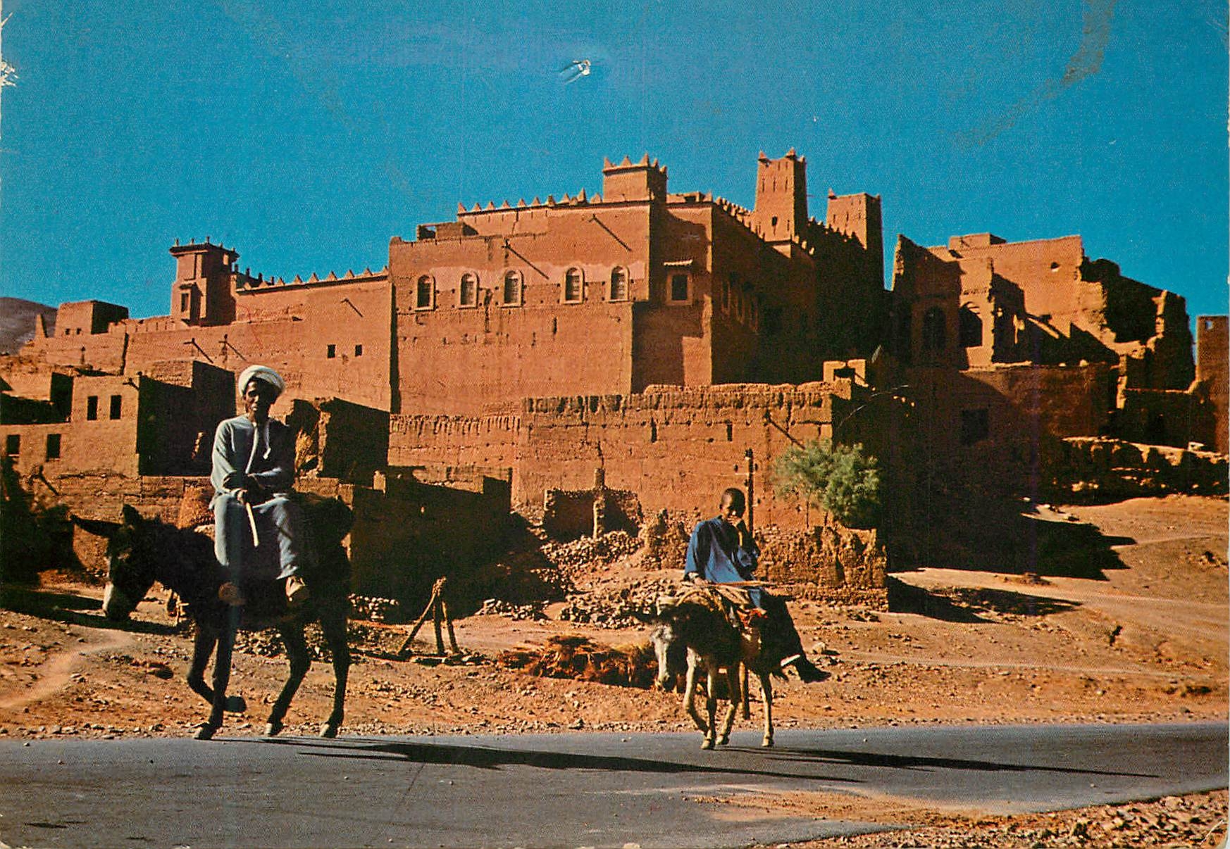 CPM Maroc typique Kasbah dans la vallee du Draa Ane Donkey