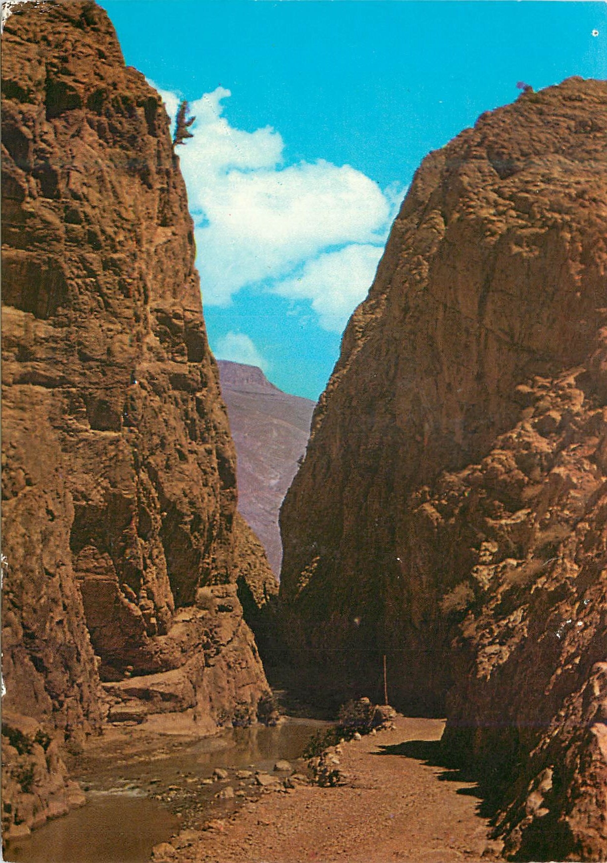 CPM Le Maroc pittoresque Les gorges du Dades 