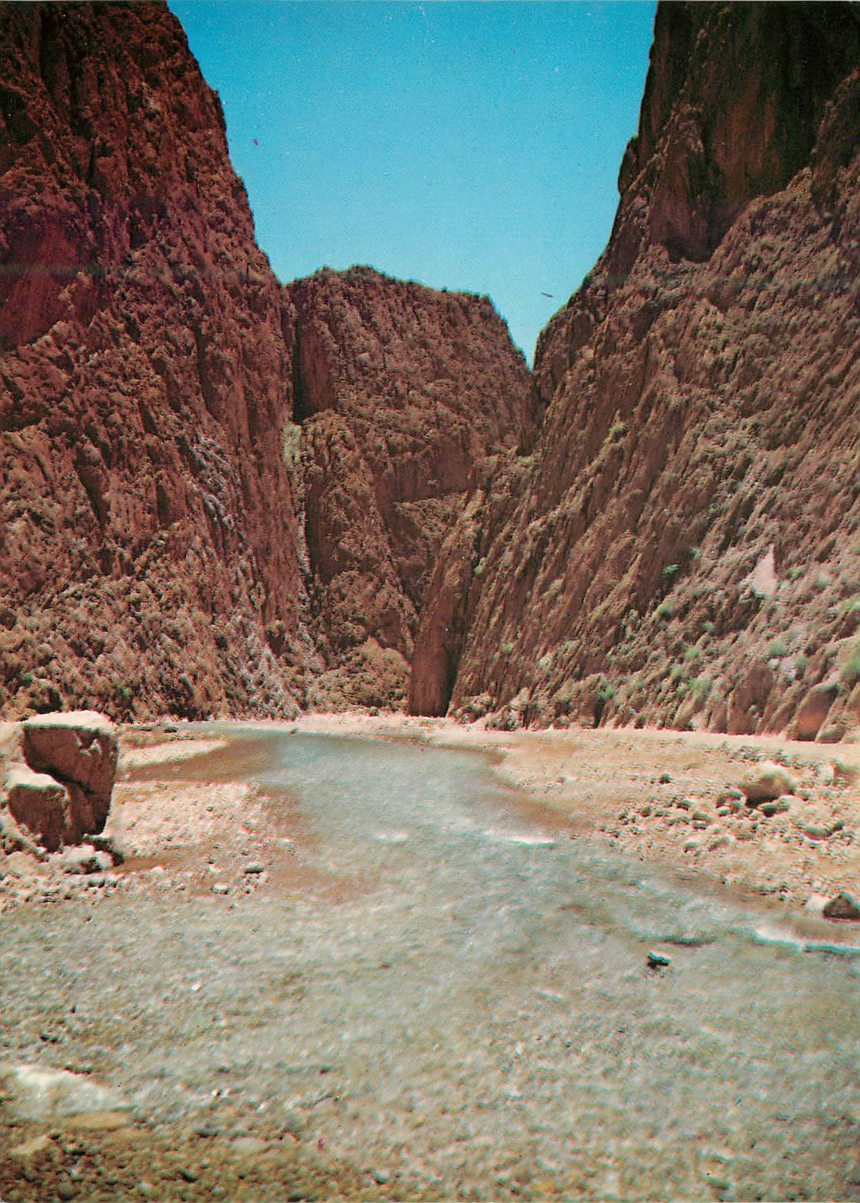 CPM Sud Marocain Les gorges du Todra 