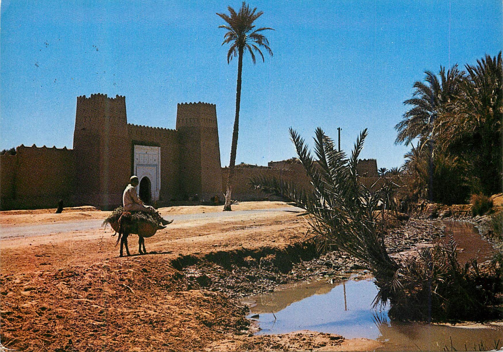 CPM Maroc Pittoresque L Entree du Ksar 