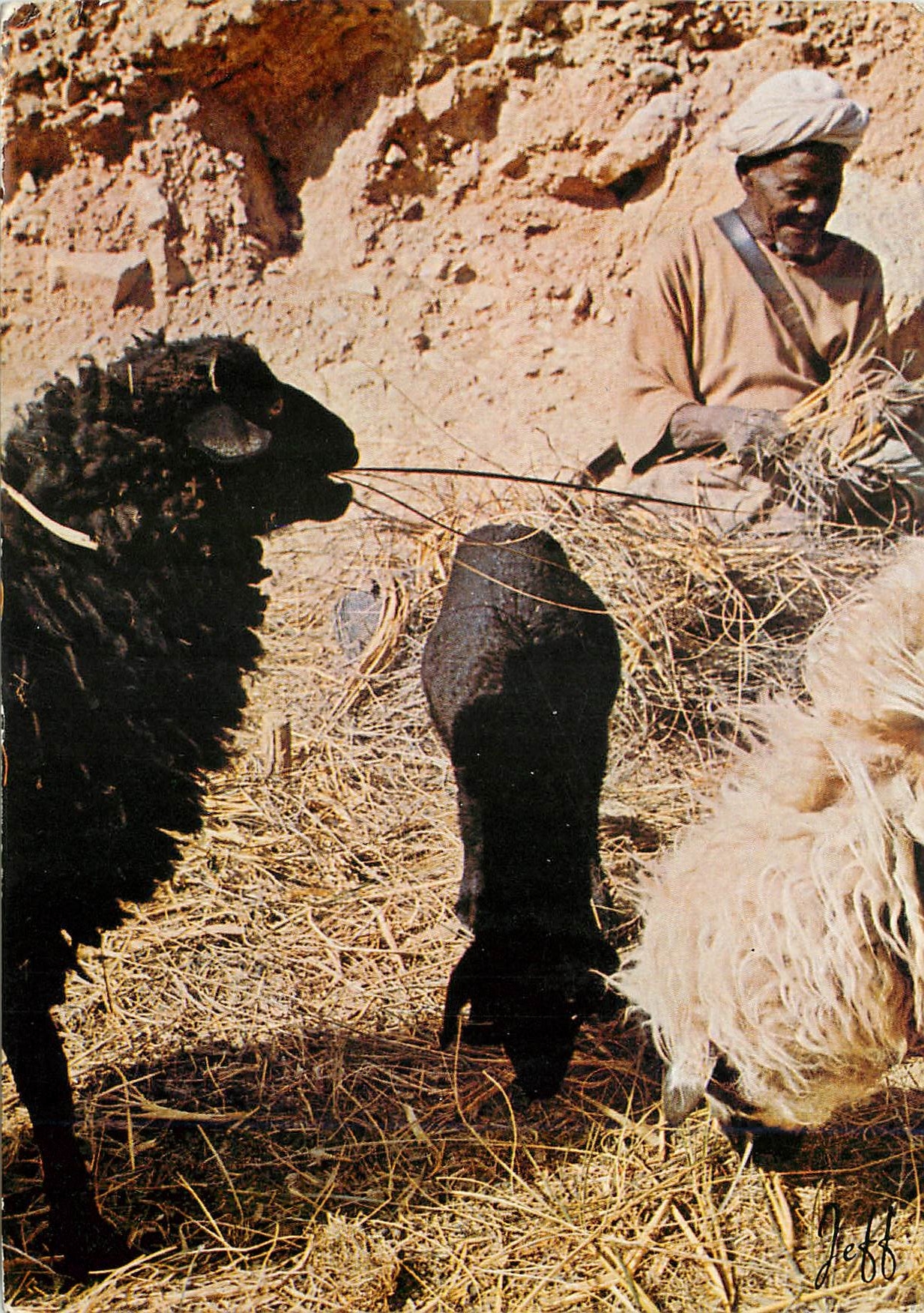 CPM Maroc 
